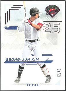 Seong-Jun Kim