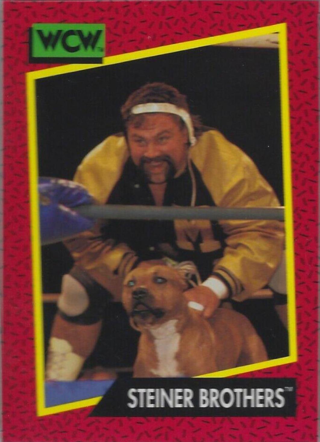 Steiner Brothers #109 Wrestling Cards 1991 Impel WCW