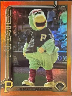 Pirate Parrot