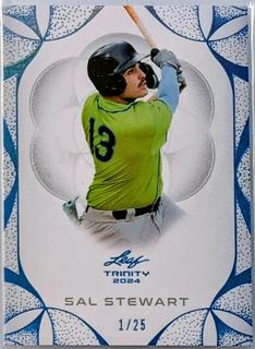 Sal Stewart