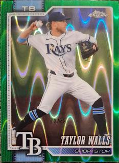 Taylor Walls