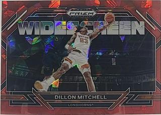 Dillon Mitchell