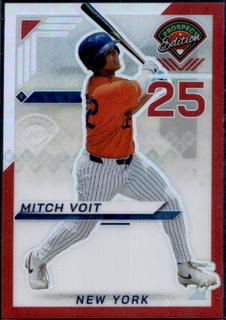 Mitch Voit