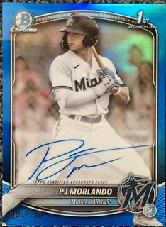 PJ Morlando