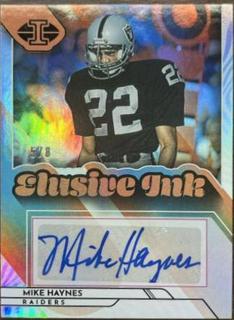 Mike Haynes