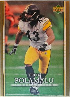 Troy Polamalu
