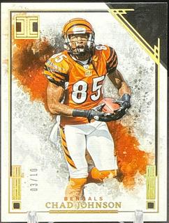 Chad Johnson