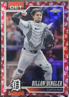 Dillon Dingler