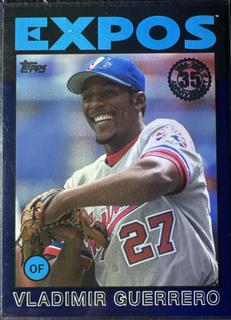 Vladimir Guerrero
