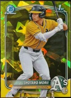 Shotaro Morii