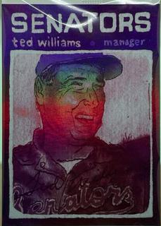 Ted Williams