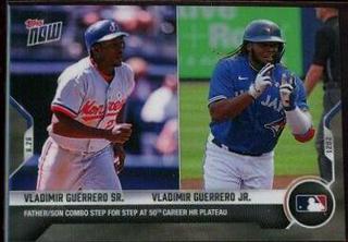 Vladimir Guerrero Sr. / Vladimir Guerrero Jr.