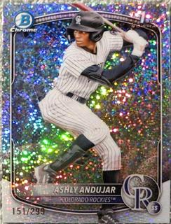 Ashly Andujar