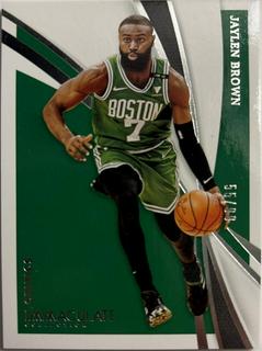 Jaylen Brown