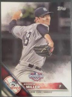 Andrew Miller