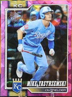 Mike Yastrzemski