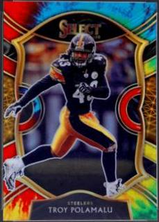Troy Polamalu