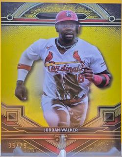 Jordan Walker