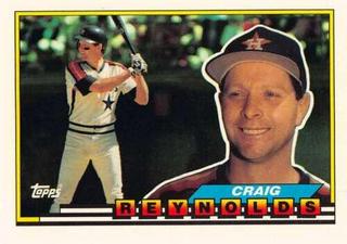 Craig Reynolds