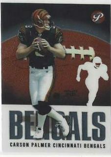 Carson Palmer