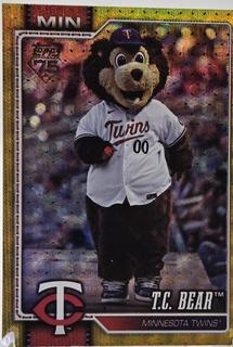 T.C. Bear Minnesota Twins