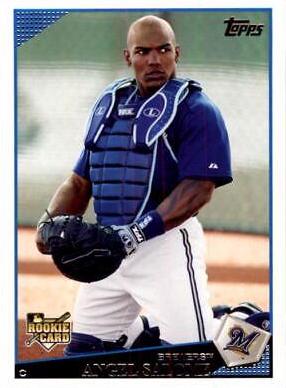 Angel Salome #137 Baseball Cards 2009 Topps