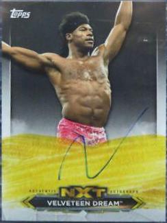 Velveteen Dream #A-VD Wrestling Cards 2020 Topps WWE NXT Roster Autographs
