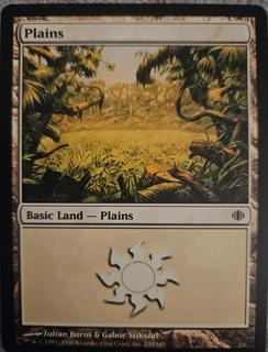 Plains