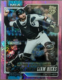 Liam Hicks