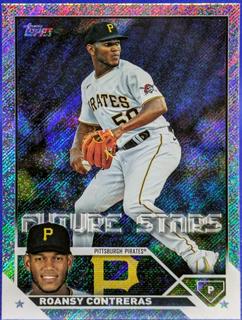 Roansy Contreras