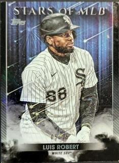 Luis Robert