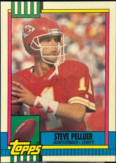 Steve Pelluer