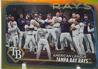 Tampa Bay Rays