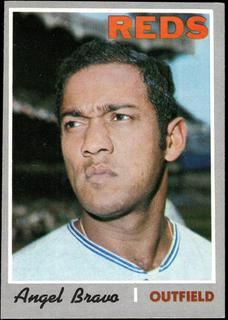 Angel Bravo