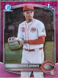 Liberts Aponte