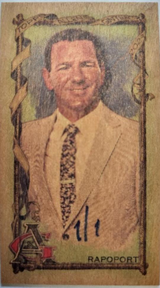 Ian Rapoport [Mini Wood] #241