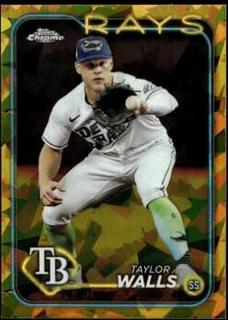 Taylor Walls