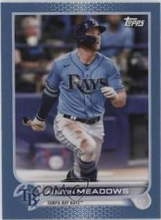 Austin Meadows