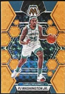 PJ Washington Jr.