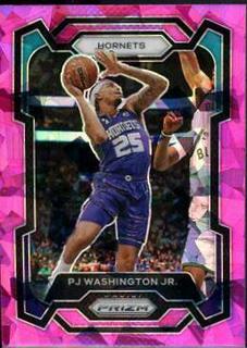PJ Washington Jr.