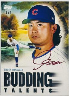 Shota Imanaga