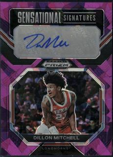 Dillon Mitchell