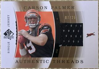 Carson Palmer