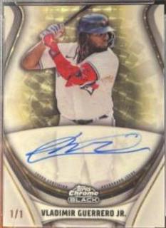 Vladimir Guerrero Jr.