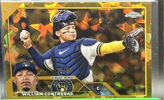 William Contreras