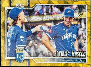 Royals Muscle