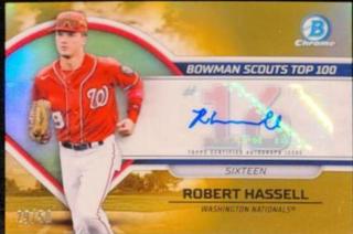 Robert Hassell