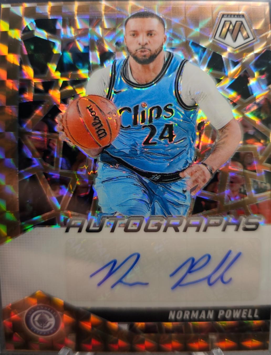 Norman Powell [Bronze] #9