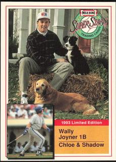 Wally Joyner