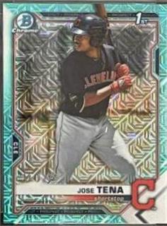 Jose Tena